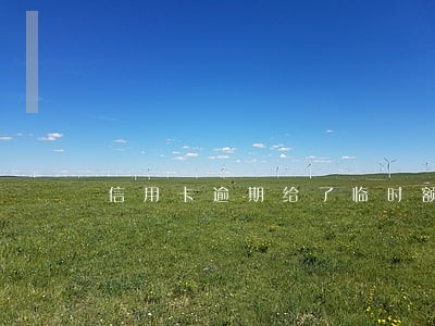 信用卡逾期给了临时额度