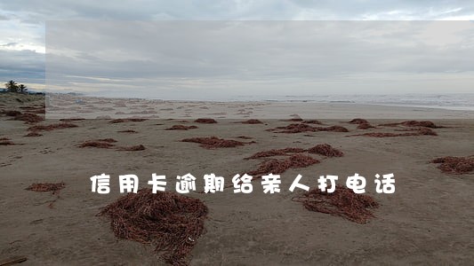 信用卡逾期给亲人打电话
