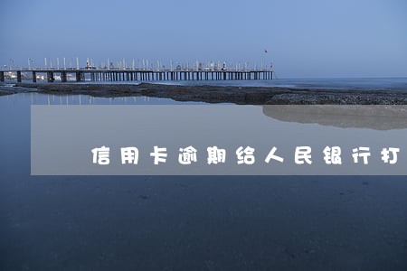 信用卡逾期给人民银行打电话 信用卡逾期给人民银行打电话