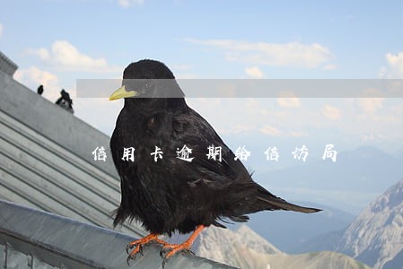 信用卡逾期给信访局 信用卡逾期给信访局