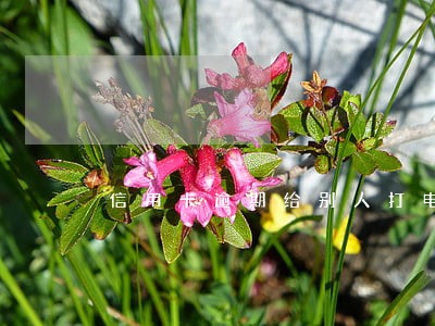 信用卡逾期给别人打电话吗 信用卡逾期给别人打电话吗