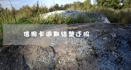 信用卡逾期给垫还吗