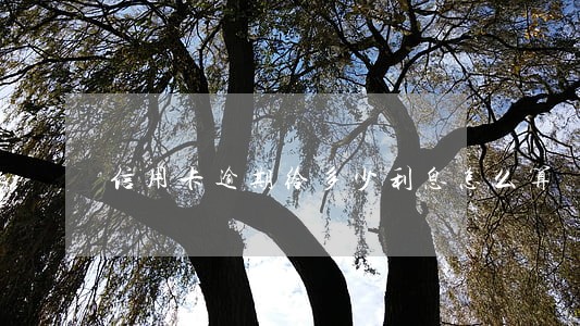 信用卡逾期给多少利息怎么算 信用卡逾期给多少利息怎么算