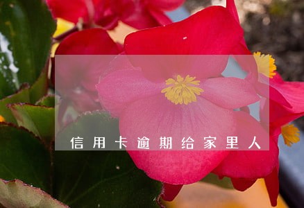 信用卡逾期给家里人 信用卡逾期给家里人