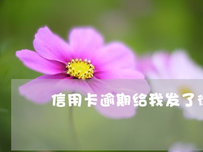 信用卡逾期给我发了律师函怎么办 信用卡逾期给我发了律师函怎么办