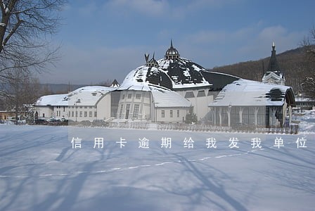 信用卡逾期给我发我单位照片 信用卡逾期给我发我单位照片
