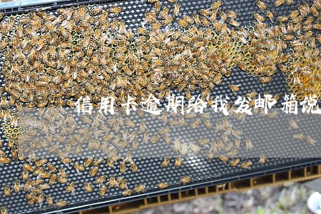 信用卡逾期给我发邮箱说开庭 信用卡逾期给我发邮箱说开庭