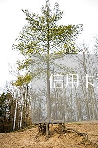 信用卡逾期给我工作单位打电话 信用卡逾期给我工作单位打电话
