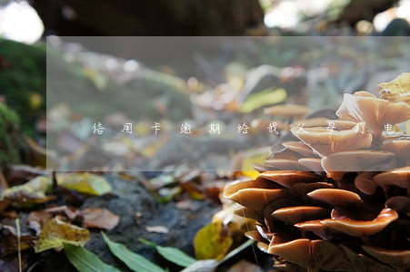 信用卡逾期给我父母打电话 信用卡逾期给我父母打电话