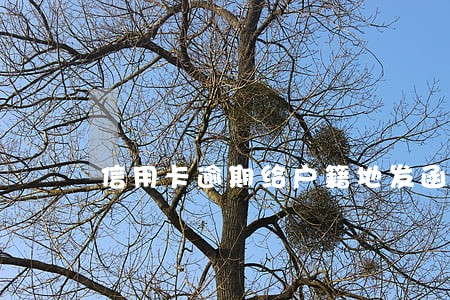 信用卡逾期给户籍地发函了怎么办 信用卡逾期给户籍地发函了怎么办