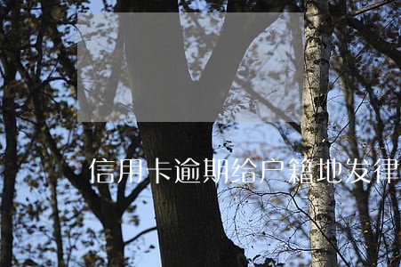 信用卡逾期给户籍地发律师函