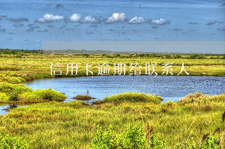 信用卡逾期给联系人 信用卡逾期给联系人