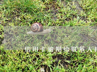 信用卡逾期给联系人打电话 信用卡逾期给联系人打电话
