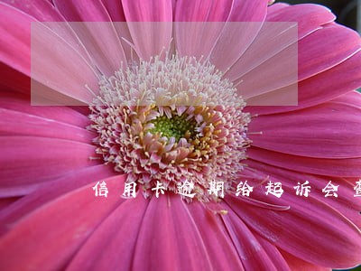 信用卡逾期给起诉会查封房产 信用卡逾期给起诉会查封房产