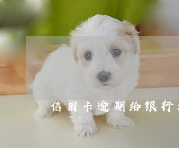 信用卡逾期给银行起诉 信用卡逾期给银行起诉