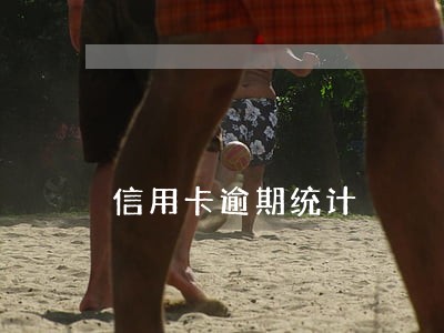 信用卡逾期统计 信用卡逾期统计