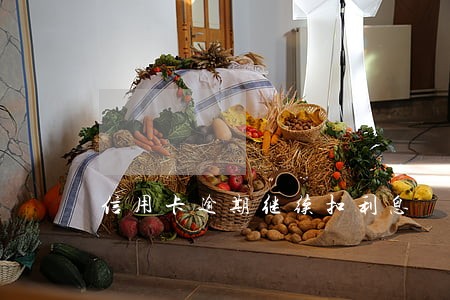 信用卡逾期继续扣利息 信用卡逾期继续扣利息