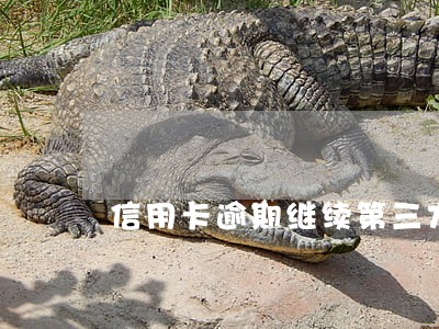 信用卡逾期继续第三方还款 信用卡逾期继续第三方还款