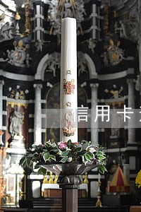 信用卡逾期缴纳五险会找到本人吗 信用卡逾期缴纳五险会找到本人吗