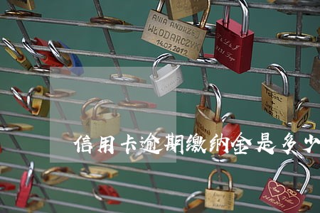 信用卡逾期缴纳金是多少费用 信用卡逾期缴纳金是多少费用