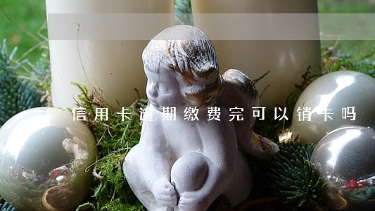 信用卡逾期缴费完可以销卡吗 信用卡逾期缴费完可以销卡吗
