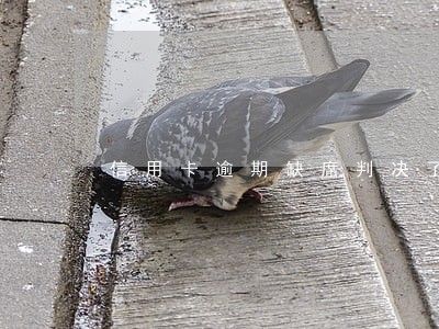 信用卡逾期缺席判决了怎么处理 信用卡逾期缺席判决了怎么处理