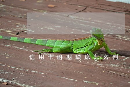 信用卡逾期缺席怎么判 信用卡逾期缺席怎么判