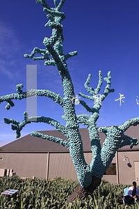 信用卡逾期网上怎么还款 信用卡逾期网上怎么还款
