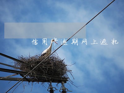 信用卡逾期网上逃犯 信用卡逾期网上逃犯
