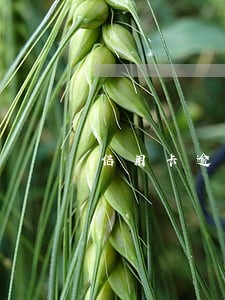 信用卡逾期网上通缉犯 信用卡逾期网上通缉犯