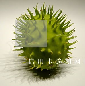 信用卡逾期网吧玩不了游戏 信用卡逾期网吧玩不了游戏