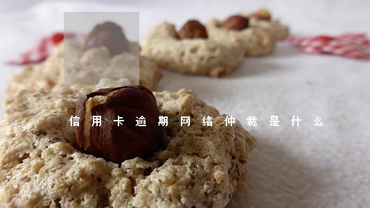 信用卡逾期网络仲裁是什么 信用卡逾期网络仲裁是什么