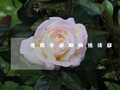 信用卡逾期网络法庭 信用卡逾期网络法庭