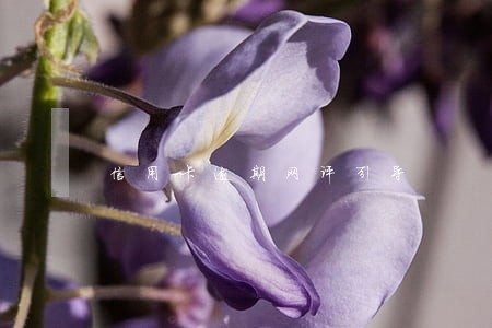 信用卡逾期网评引导