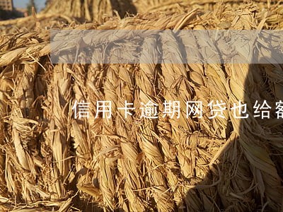 信用卡逾期网贷也给额度 信用卡逾期网贷也给额度