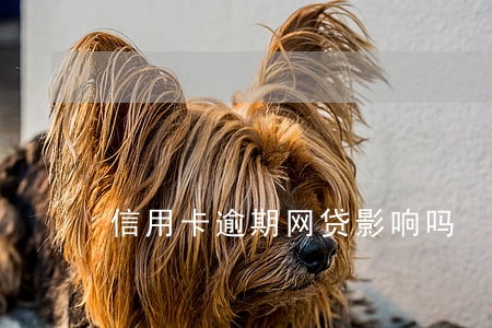 信用卡逾期网贷影响吗