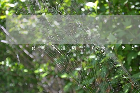 信用卡逾期网贷能贷多少