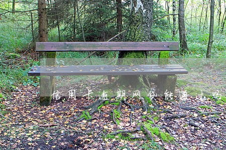 信用卡逾期网贷能通过吗 信用卡逾期网贷能通过吗