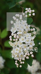 信用卡逾期网贷被风控