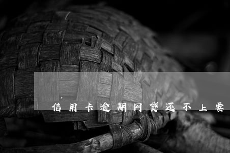 信用卡逾期网贷还不上要轻生 信用卡逾期网贷还不上要轻生