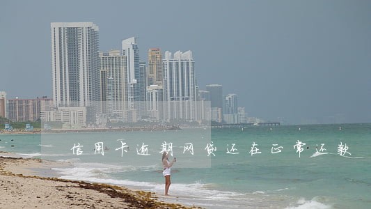 信用卡逾期网贷还在正常还款