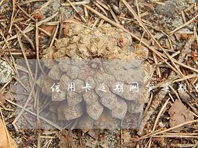 信用卡逾期网贷逾期怎么申请贷款