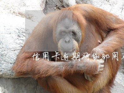 信用卡逾期网贷都用不了了