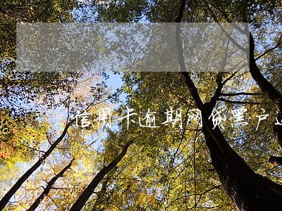 信用卡逾期网贷黑户还能借钱嘛 信用卡逾期网贷黑户还能借钱嘛
