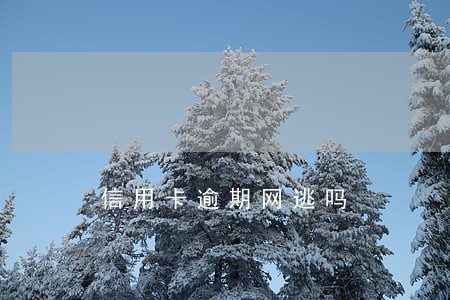信用卡逾期网逃吗 信用卡逾期网逃吗