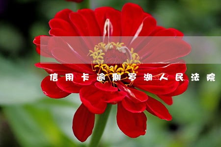 信用卡逾期罗湖人民法院起诉 信用卡逾期罗湖人民法院起诉
