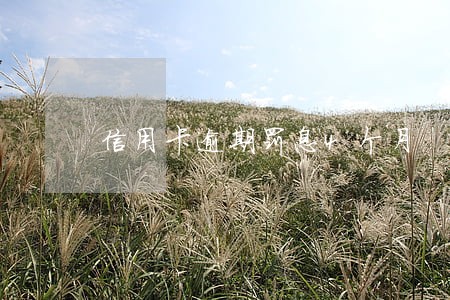 信用卡逾期罚息4个月 信用卡逾期罚息4个月