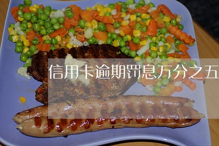 信用卡逾期罚息万分之五 信用卡逾期罚息万分之五