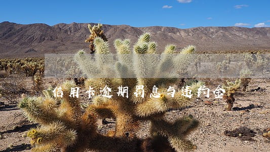 信用卡逾期罚息与违约金 信用卡逾期罚息与违约金