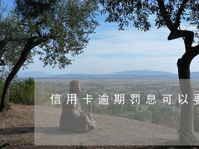 信用卡逾期罚息可以要发票么 信用卡逾期罚息可以要发票么